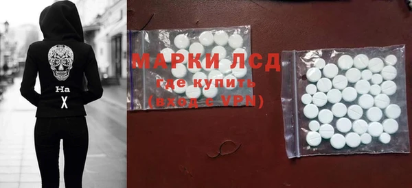 ГАЛЛЮЦИНОГЕННЫЕ ГРИБЫ Вяземский