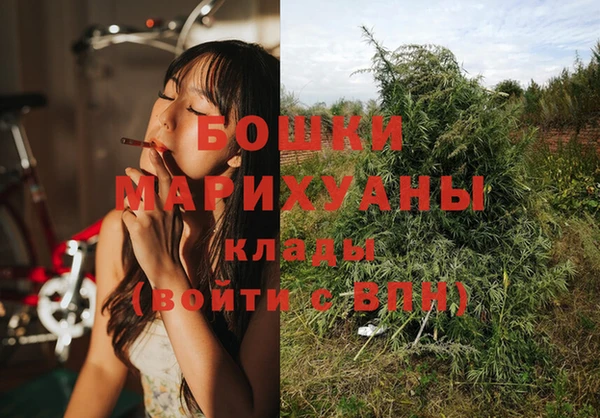 ГАЛЛЮЦИНОГЕННЫЕ ГРИБЫ Вяземский