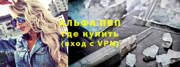 ГАЛЛЮЦИНОГЕННЫЕ ГРИБЫ Вяземский