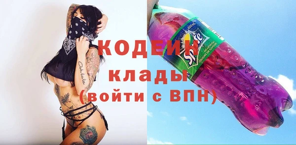 ГАЛЛЮЦИНОГЕННЫЕ ГРИБЫ Вяземский