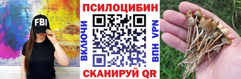 Псилоцибиновые грибы Psilocybe  Купить где  Медногорск 